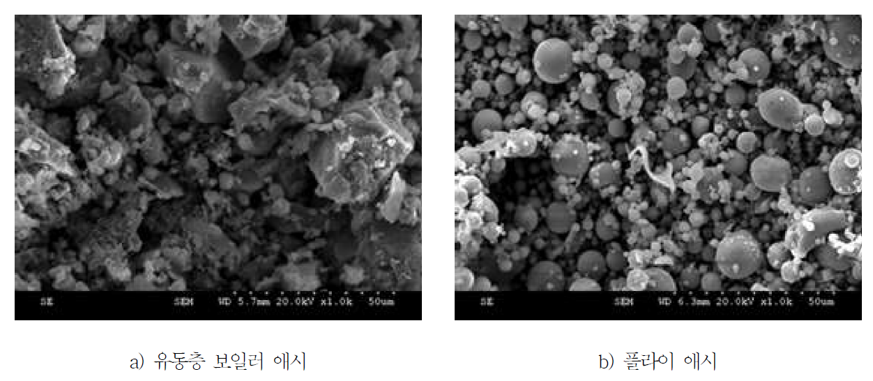 유동층 보일러 애시의 SEM 측정 결과
