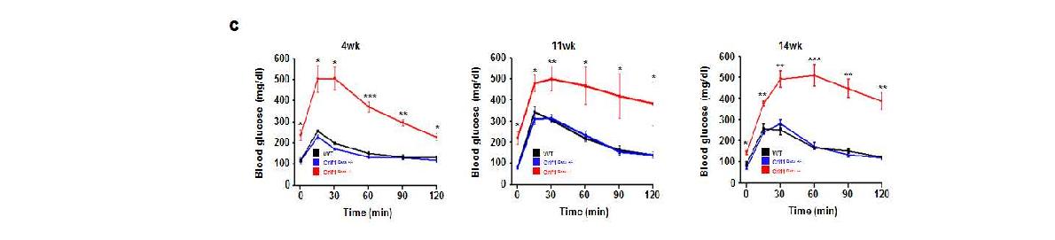 그림 82 췌장 베타세포 특이적 Crif1 결손 마우스의 14주간 Glucose tolerance test