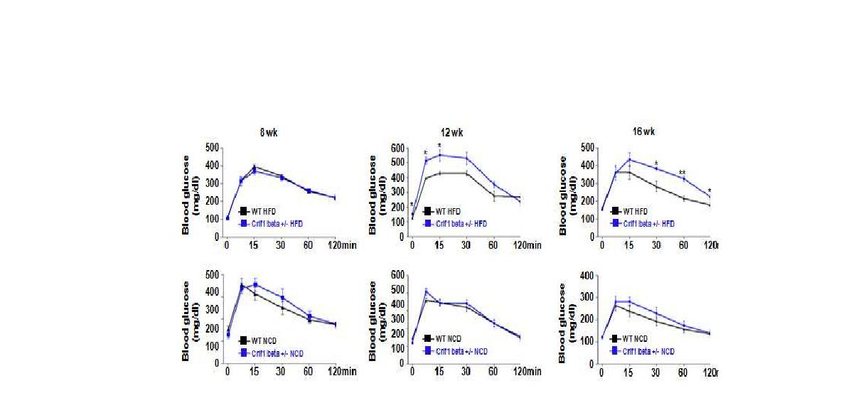 그림 90 CRIF1 유전자의 haploinsufficiency에 따른 high fat diet의 반응성 차이