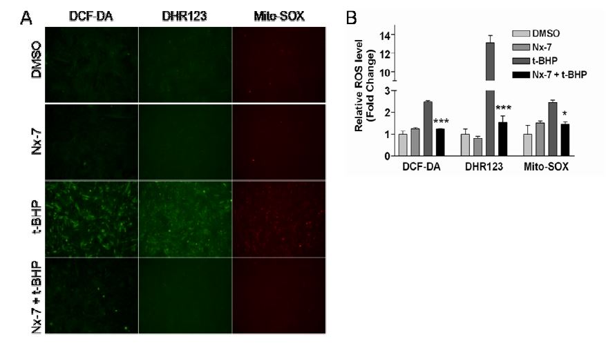 그림 114 t-BHP에 의한 세포 내 활성산소생성에 대한 NecroX-7의 억제 효과