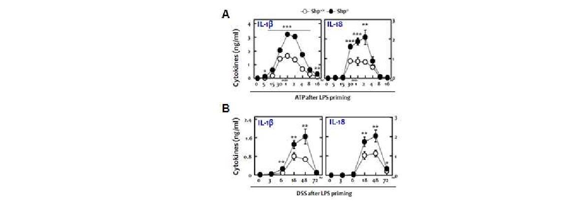 그림27 SHP 결손 대식 세포에서의 NLRP3 염증 조절 복합체 활성 비교