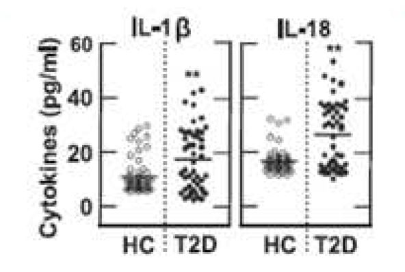 그림30 정상인과 제2형 당뇨병 환자 혈청에서의 IL-1β와 IL-18 생성 비교