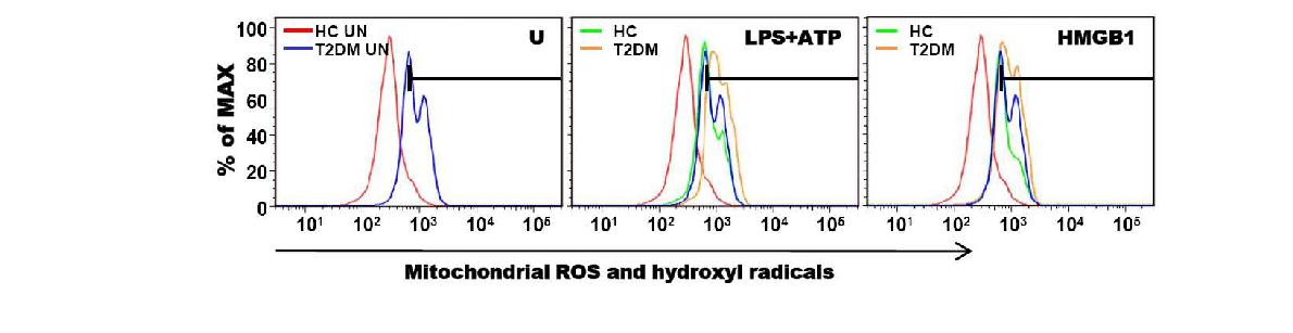 그림32 정상인과 제2형 당뇨병 환자의 NLRP3 인플라마좀 활성제에 의한 미토콘드리아 활성산소족의 생성능 비교