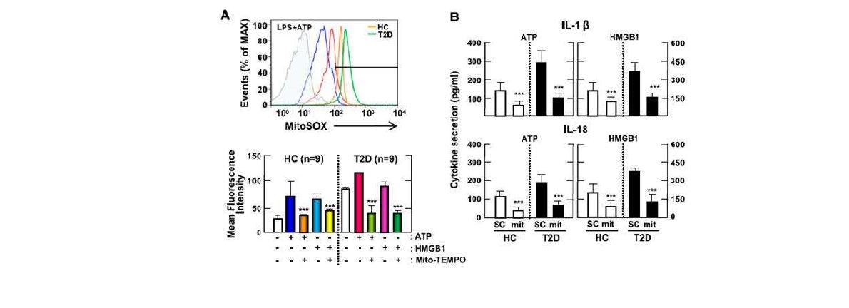 그림34 미토콘드리아 활성산소족 생성 억제에 따른 정상인과 제2형 당뇨병 환자 대식세포에서의 IL-1β 및 IL-18 생성 비교