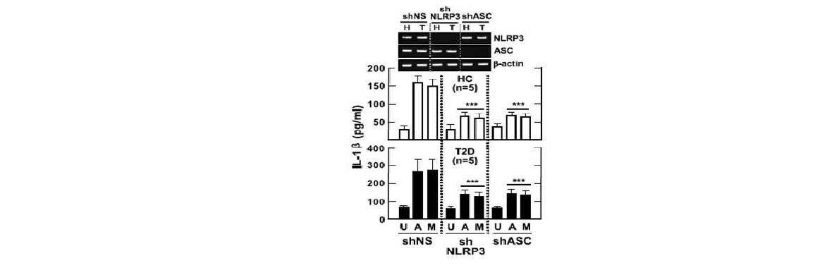 그림35 NLRP3 인플라마좀 복합체 구성 단백질 저해에 따른 정상인과 제2형 당뇨병 환자의 IL-1β 및 IL-18 생성 측정
