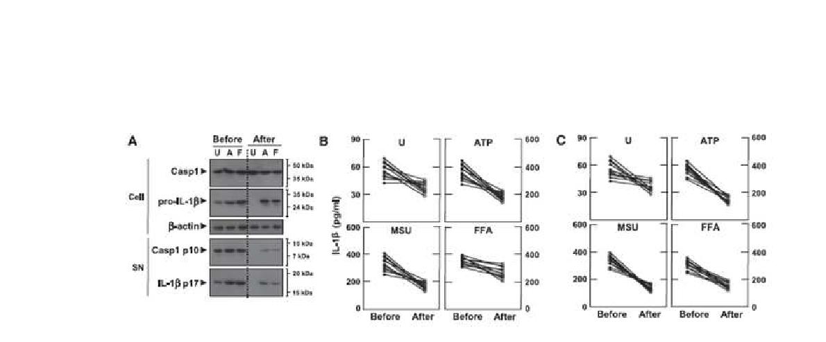 그림37 제2형 당뇨병 환자의 유병기간 내 metformin 치료 전·후 IL-1β 및 IL-18의 활성도 비교