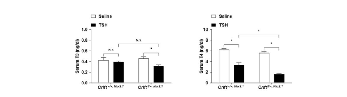 그림 78. 3주간 rhTSH 자극에 의한 기초 갑상선 호르몬 생성량의 변화