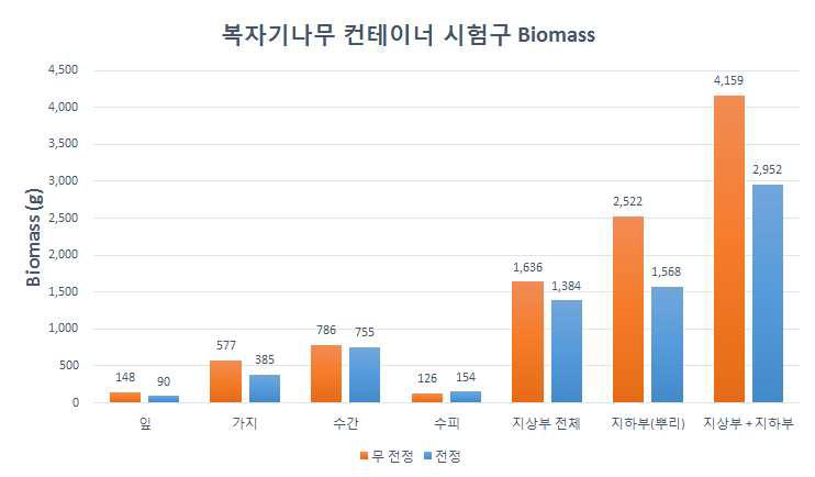 복자기나무 컨테이너 시험구의 Biomass 평균