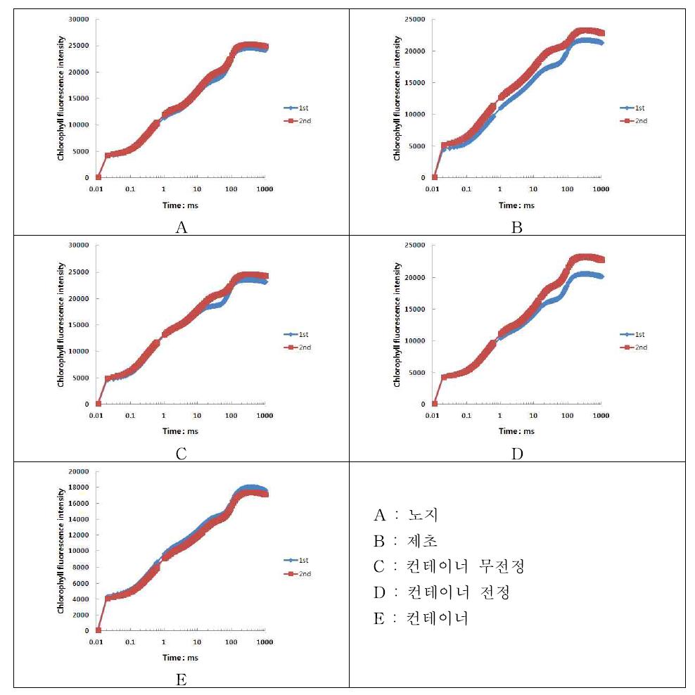 시기별 엽록소 형광반응(OJIP) 변화