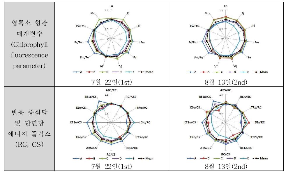 식재 처리별 광화학 생리지표 변화 비교