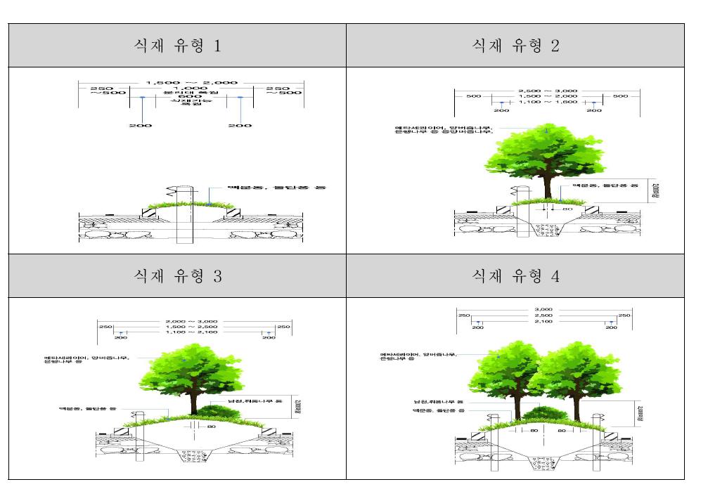 중앙부(중앙분리대) 수목 식재 유형