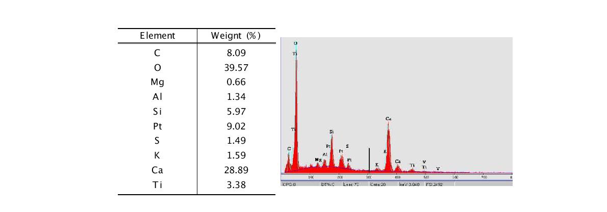 치환배합에 대한 EDS 분석결과