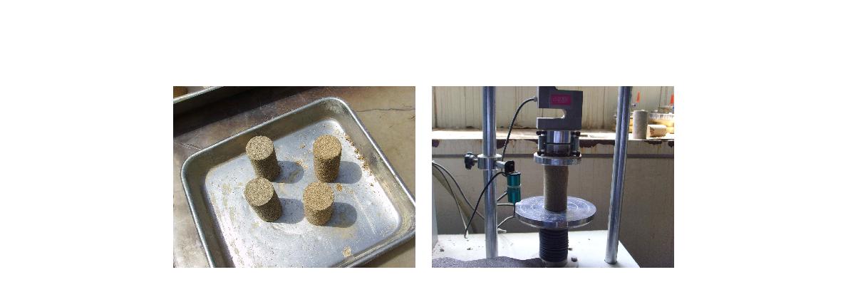 일축압축시험을 위해 제작된 공시체 및 일축압축 시험 전경