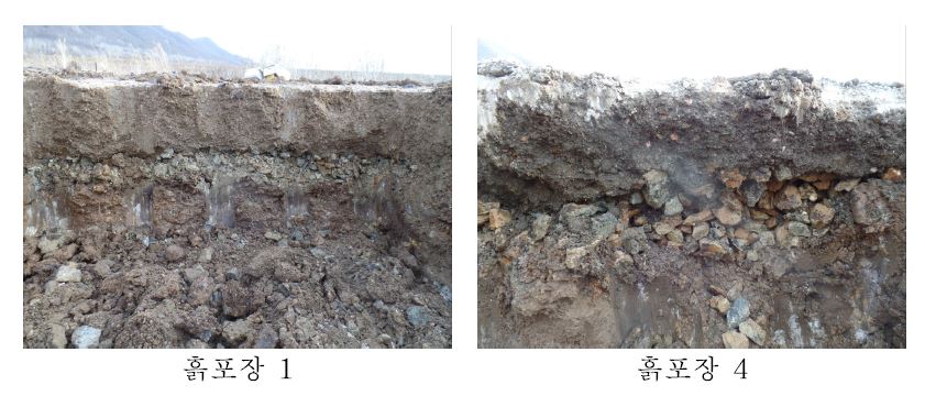 흙포장 단면확인