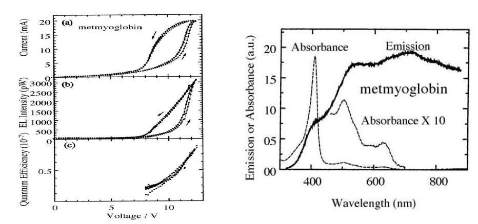 Myoglobin OLED의 전류-전압-휘도와 양자효율 및 PL, EL 스펙트럼