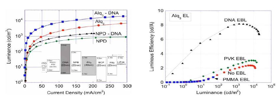 DNA OLED의 전류밀도에 따른 발광 및 광효율