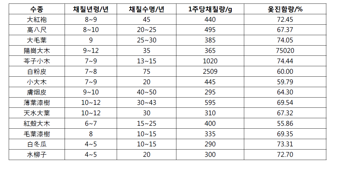 중국생칠 현황