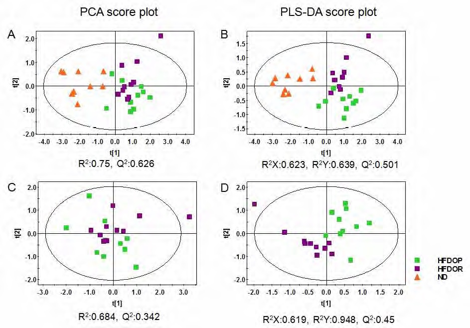 Figure 28. Principal component analysis (PCA), partial least squares-discriminant analysis (PLS-DA) score scatter plots obtained from the 1H NMR spectra of liver polar extract for global analysis, which is demonstrating a clear differentiation among the groups; (A) PCA score plot for HFD-OP, HFD-OR, ND; (B) PLS-DA score plot for HFD-OP, HFD-OR, ND; (C) PCA score plot for HFD-OP, HFD-OR; (D) PLS-DA score plot for HFD-OP, HFD-OR