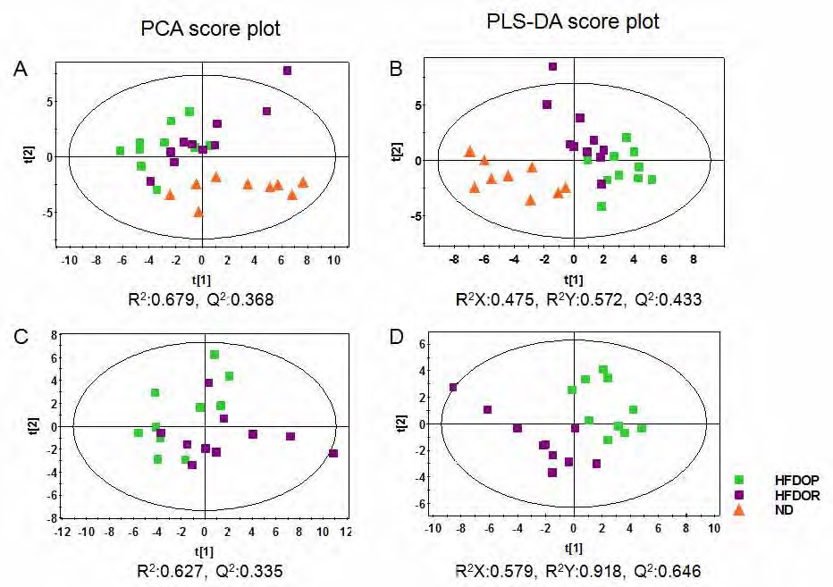 Figure 29. Principal component analysis (PCA), partial least squares-discriminant analysis (PLS-DA) score scatter plots obtained from the 1H NMR spectra of liver polar extract for targeted analysis, which is demonstrating a clear differentiation among the groups; (A) PCA score plot for HFD-OP, HFD-OR, ND; (B) PLS-DA score plot for HFD-OP, HFD-OR, ND; (C) PCA score plot for HFD-OP, HFD-OR; (D) PLS-DA score plot for HFD-OP, HFD-OR