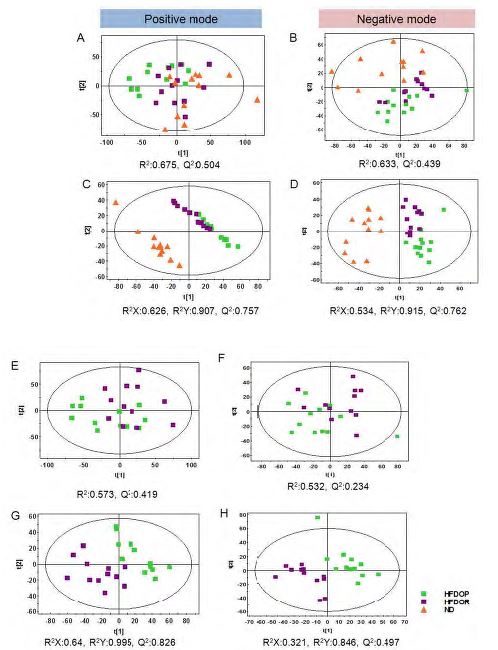 Figure 35. Principal component analysis (PCA), partial least squares-discriminant analysis (PLS-DA) score scatter plots obtained from the UPLC/Q-TOF MS spectra of plasma lipid extract for global analysis, which is demonstrating a clear differentiation among the groups; (A) PCA score plot for HFD-OP, HFD-OR, ND in positive mode of UPLC/Q-TOF MS; (B) PCA score plot for HFD-OP, HFD-OR, ND in negative mode of UPLC/Q-TOF MS; (C) PLS-DA score plot for HFD-OP, HFD-OR, ND in positive mode of UPLC/Q-TOF MS; (D) PLS-DA score plot for HFD-OP, HFD-OR, ND in negative mode of UPLC/Q-TOF MS; (E) PCA score plot for HFD-OP, HFD-OR in positive mode of UPLC/Q-TOF MS; (F) PCA score plot for HFD-OP, HFD-OR in negative mode of UPLC/Q-TOF MS; (G) PLS-DA score plot for HFD-OP, HFD-OR in positive mode of UPLC/Q-TOF MS; (H) PLS-DA score plot for HFD-OP, HFD-OR in negative mode of UPLC/Q-TOF MS