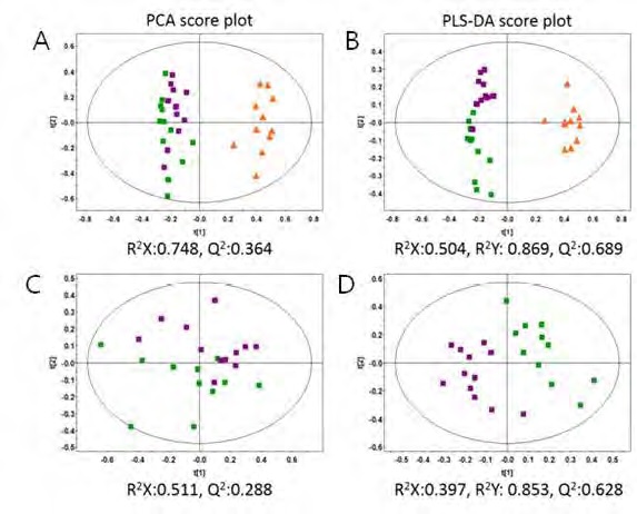 Figure 38. Principal component analysis (PCA), partial least squares-discriminant analysis (PLS-DA) score scatter plots obtained from the 1H NMR spectra of urine for global analysis, which is demonstrating a clear differentiation among the groups; (A) PCA score plot for HFD-OP, HFD-OR, ND ; (B) PLS-DA score plot for HFD-OP, HFD-OR, ND ; (C) PCA score plot for HFD-OP, HFD-OR (D) PLS-DA score plot for HFD-OP, HFD-OR