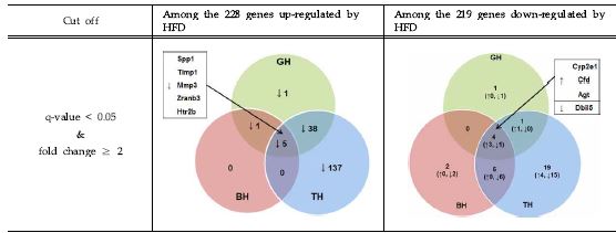 Figure 55. The numbers of common genes in the epididymal white adipose tissue in GH, BH and TH groups compared to the high-fat diet group