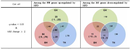 Figure 56. The numbers of common genes in the liver in GH, BH and TH groups compared to the high-fat diet group