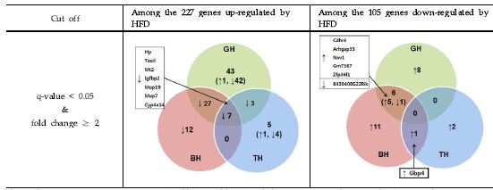 Figure 57. The numbers of common genes in the muscle in GH, BH and TH groups compared to the high-fat diet group