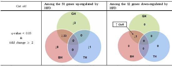 Figure 58. The numbers of common genes in the hypothalamus in GH, BH and TH groups compared to the high-fat diet group