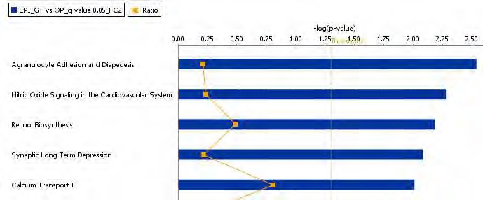 Figure 59. The top-ranked adipocyte canonical pathway list in response to green tea extract supplement action in high-fat diet-fed C57BL/6J mice