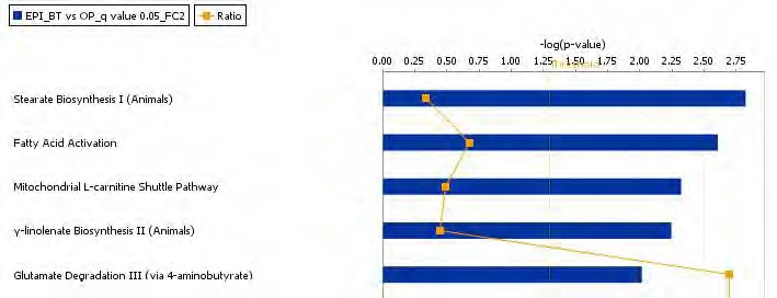 Figure 60.. The top-ranked adipocyte canonical pathway list in response to Bangpungtongsungsan supplement action in high-fat diet-fed C57BL/6J mice