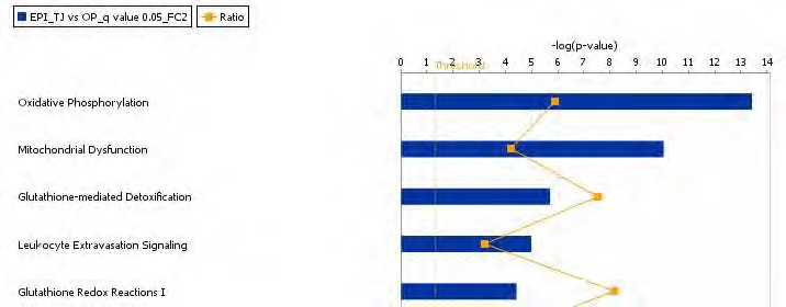 Figure 62. The top-ranked adipocyte canonical pathway list in response to Taeeumjowuitang supplement action in high-fat diet-fed C57BL/6J mice