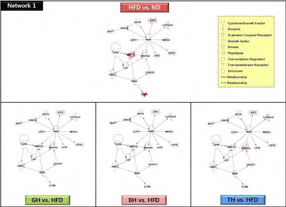 Figure 63 The network 1 of top-ranked IPA generated network and focus molecules of traditional medicinal prescription-responsive adipocyte genes compared to the high-fat control diet in C57BL/6J mice