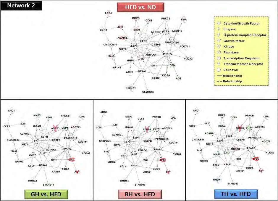 Figure 64. The network 2 of top-ranked IPA generated network and focus molecules of traditional medicinal prescription-responsive adipocyte genes compared to the high-fat control diet in C57BL/6J mice