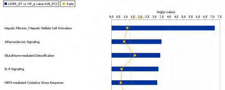 Figure 65. The top-ranked hepatic canonical pathway list in response to green tea extract supplement action in high-fat diet-fed C57BL/6J mice