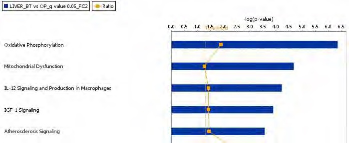 Figure 66. The top-ranked hepatic canonical pathway list in response to Bangpungtongsungsan supplement action in high-fat diet-fed C57BL/6J mice