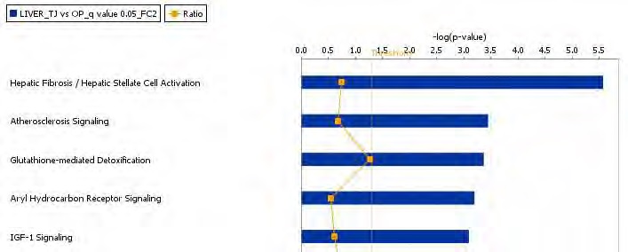 Figure 67. The top-ranked hepatic canonical pathway list in response to Taeeumjowuitang supplement action in high-fat diet-fed C57BL/6J mice