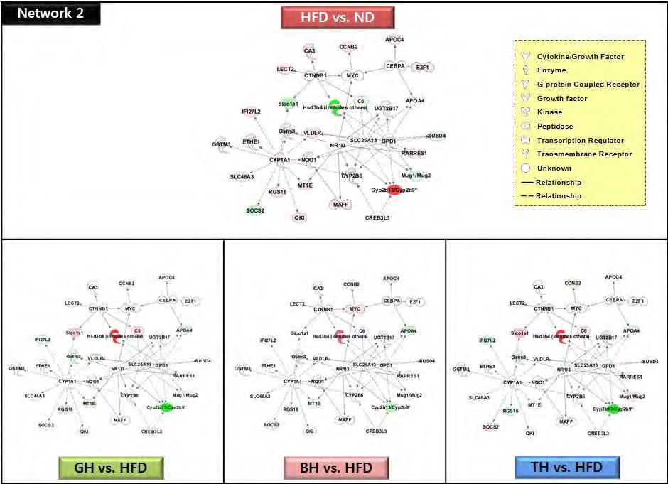 Figure 69. The network 2 of top-ranked IPA generated network and focus molecules of traditional medicinal prescription-responsive hepatic genes compared to the high-fat diet in C57BL/6J mice