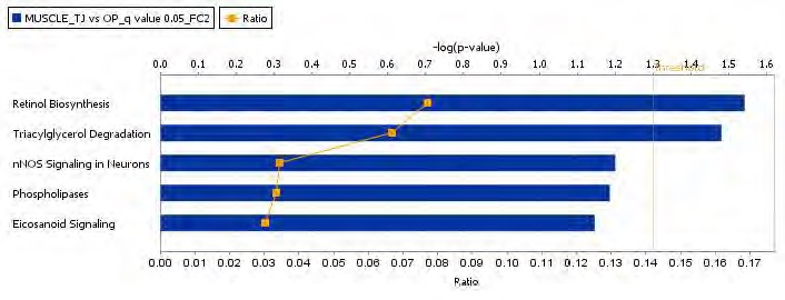 Figure 72. The top-ranked muscular canonical pathway list in response to Taeeumjowuitang supplement action in high-fat diet-fed C57BL/6J mice