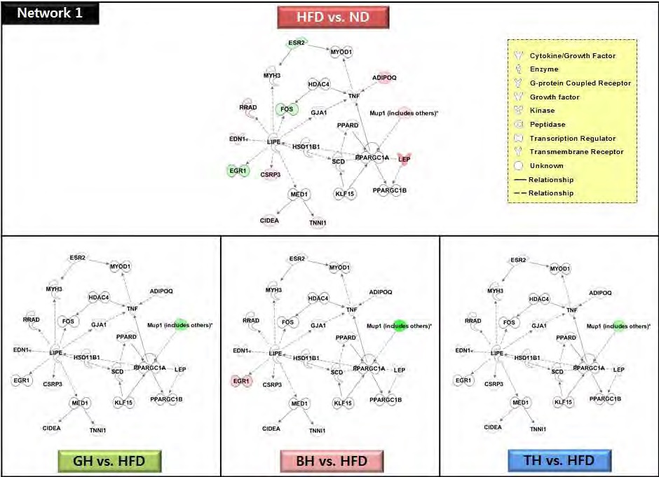 Figure 73. The network 1 of top-ranked IPA generated network and focus molecules of traditional medicinal prescription responding muscular genes compared to the high-fat diet in C57BL/6J mice
