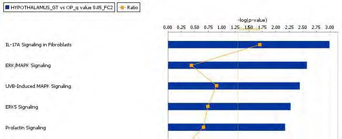 Figure 74. The top-ranked hypothalamic canonical pathway list in response to green tea extract supplement action in high-fat diet-fed C57BL/6J mice