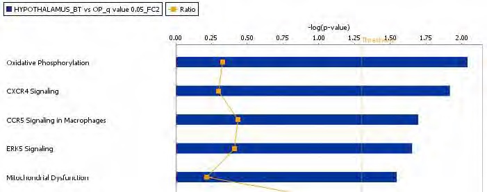 Figure 75. The top-ranked hypothalamic canonical pathway list in response to Bangpungtongsungsan supplement action in high-fat diet-fed C57BL/6J mice