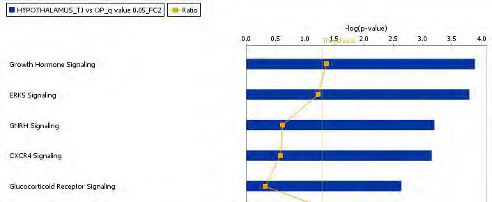 Figure 76. The top-ranked hypothalamic canonical pathway list in response to Taeeumjowuitang supplement action in high-fat diet-fed C57BL/6J mice