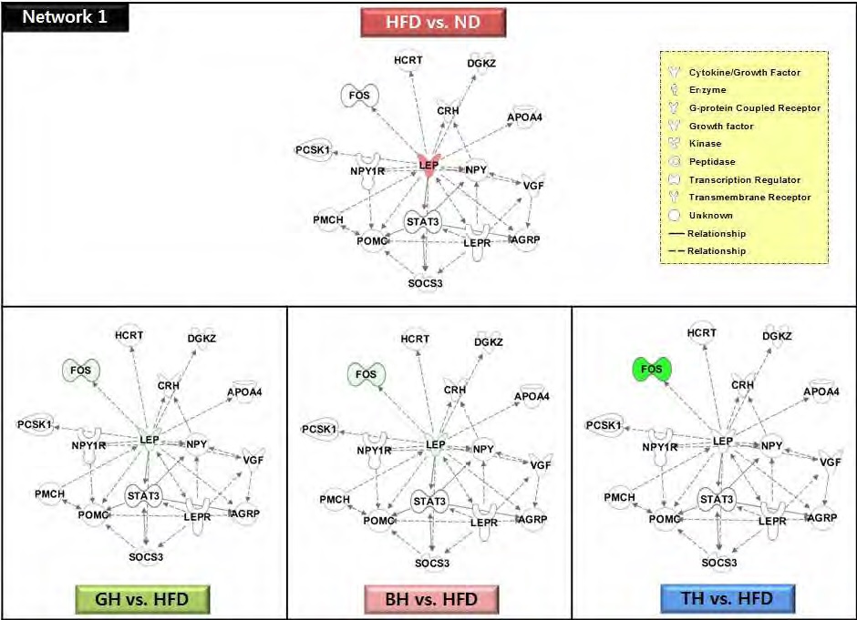 Figure 77. The network 1 of top-ranked IPA generated network and focus molecules of traditional medicinal prescription responding hypothalamic genes compared to the high-fat diet in C57BL/6J mice