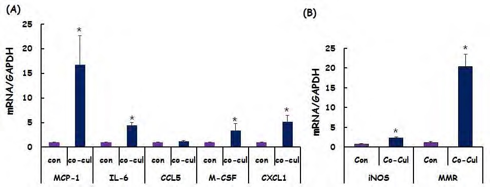 Figure 124. Changes in transcript levels of cytokines/chemokines in 3T3-L1/RAW264.7 co-culture