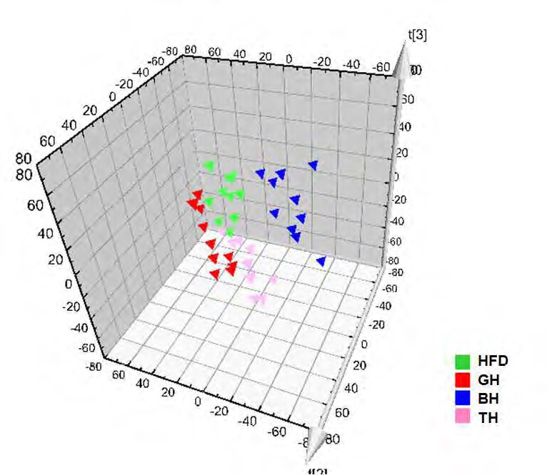 Figure 109. Partial least squares-discriminant analysis (PLS-DA) 3D score scatter plots obtained from the UPLC/Q-TOF MS spectra of liver lipid extract for global analysis, demonstrating a clear differentiation among the groups