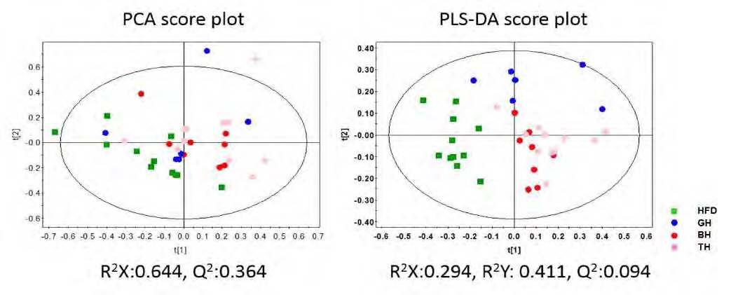 Figure 112. Principal component analysis (PCA), partial least squares-discriminant analysis (PLS-DA) score scatter plots obtained from the 1H NMR spectra of 1H NMR spectra of urine for global analysis, which is demonstrating a clear differentiation among the groups; (A) PCA score plot for HFD, GH, BH, TH; (B) PLS-DA score plot for HFD, GH, BH, TH