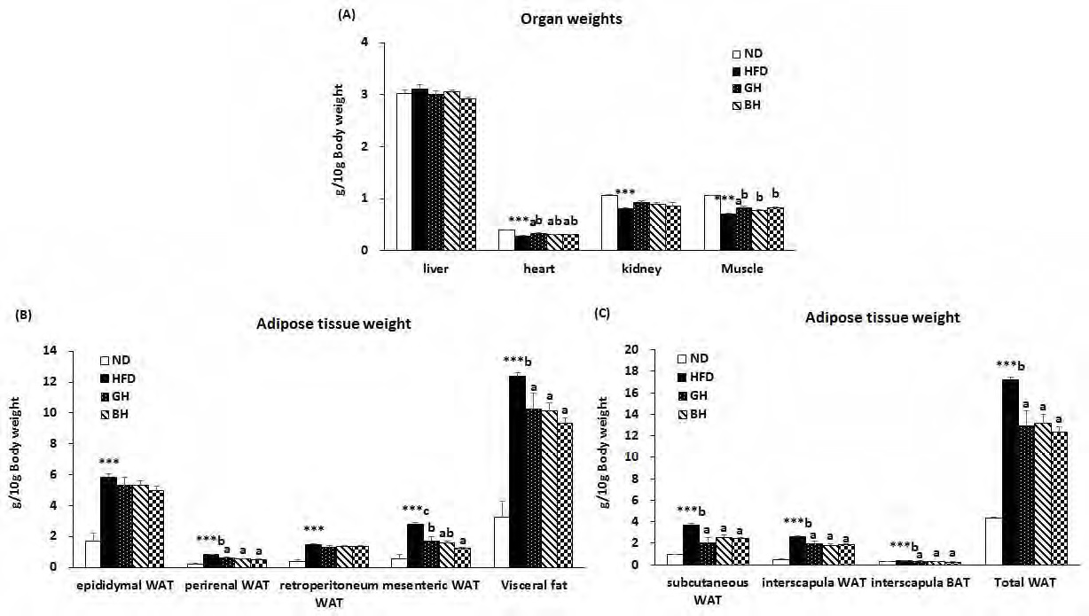 Figure 119 Effect of traditional medicinal prescription for 12 weeks on organ and adipose tissue weights in C57BL/6J mice fed high-fat diet in repeated animal feeding