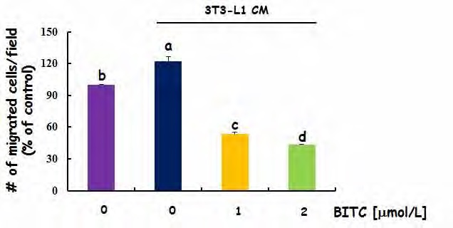 Figure 122. Effects of BITC on 3T3-L1 CM-stimulated migration of RAW264.7 cells.