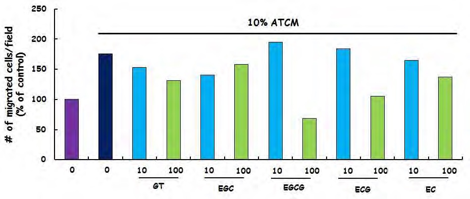 Figure 133. Effects of green tea extract and green tea-derived catechins on ATCM-stimulated migration of RAW264.7 cells